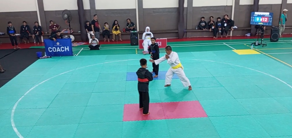 ini